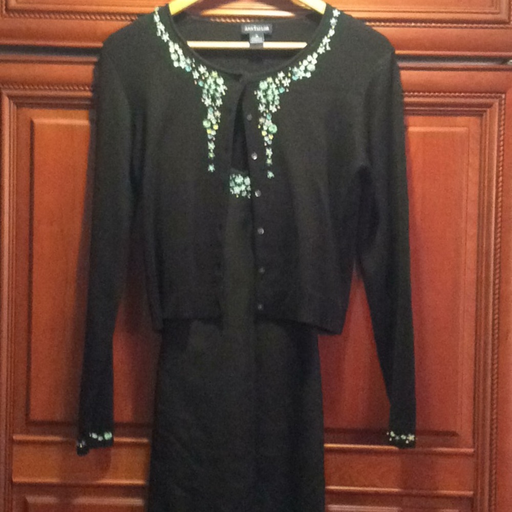 Ann Taylor Embroidered Dress & Sweater set